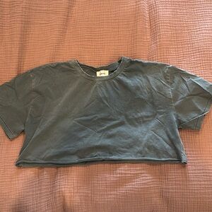 Elwood Distressed Cropped Blue Tee